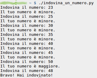 Indovina un numero